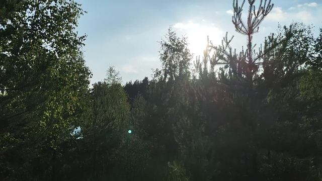 Страус - отличная подушка смотреть онлайн