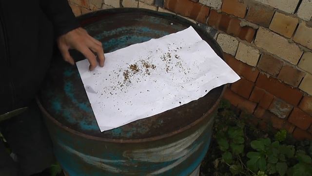 фумигация амитраза в арсенале методов от клеща смотреть онлайн