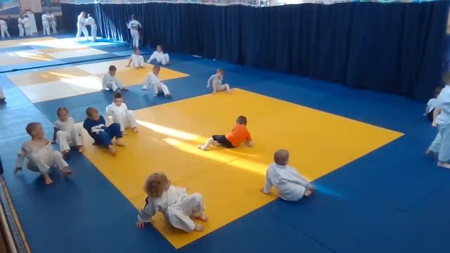 Тренировка младшей группы дзюдо 02.05.2023 (16:30) смотреть онлайн