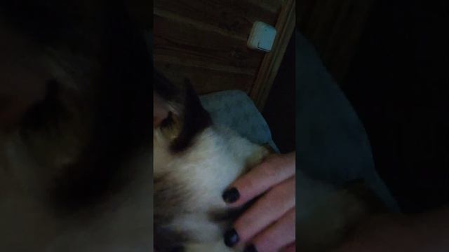 ПРОСТО МИЛОЕ ВИДЕО ☺️? смотреть онлайн