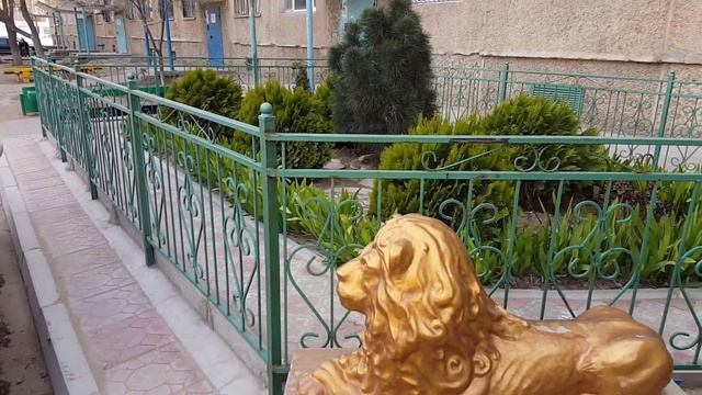 Красиво жить не запретишь! Золотые львы Актау - 1 Minute story NS смотреть онлайн