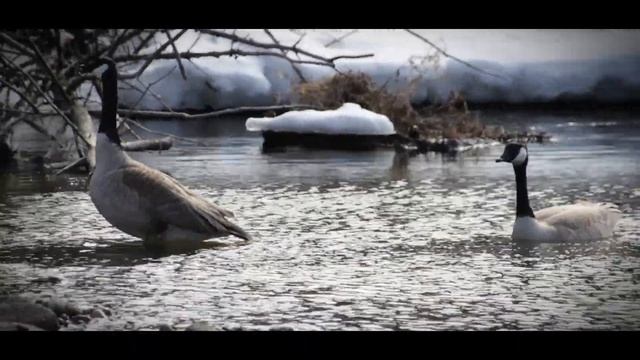 Adventure Painting - Kingsmere River PANP, Saskatchewan смотреть онлайн