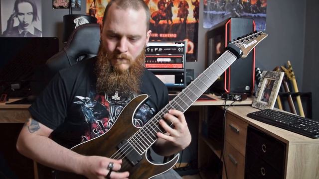 Amon Amarth - Raven's Flight (Guitar Cover By FearOfTheDark)