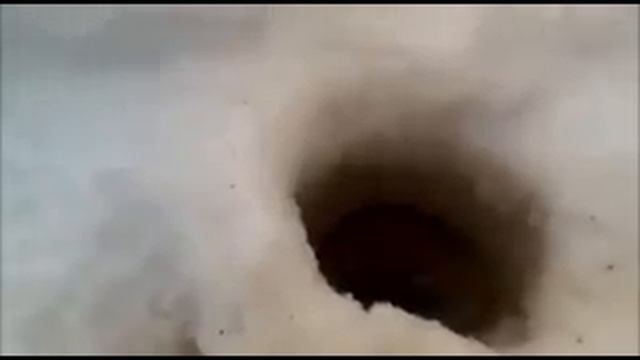 Сургут 703 куст. смотреть онлайн