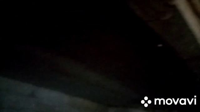 Потолок в свинарнику с полистирола. Фантастика нет конденсата смотреть онлайн