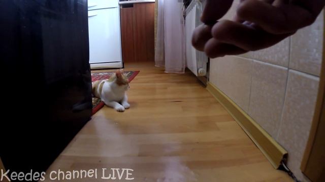 Рыжик и ЕДА смотреть онлайн