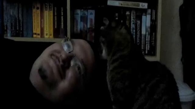 котонежности смотреть онлайн