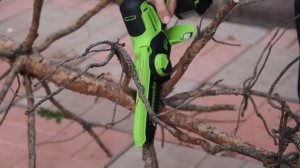 Аккумуляторная цепная пила Greenworks GD24CSMNX обзор и обрезка дерева