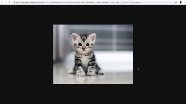 GitHub Pages: Images with Markdown смотреть онлайн