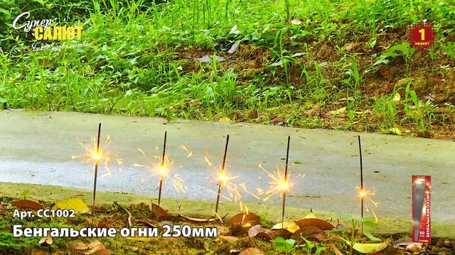 СС1002 Бенгальские огни 250мм смотреть онлайн