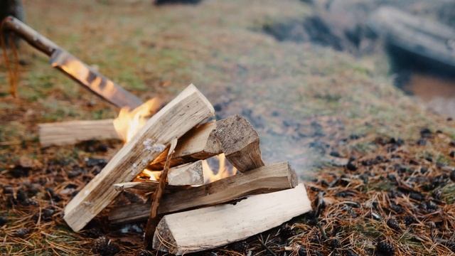 Дикая природа Горит костер и Самовар на дровах Хочу тишины смотреть онлайн