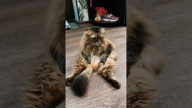 Сижу, лежу, сижу-лежу. Сама себе кресло смотреть онлайн