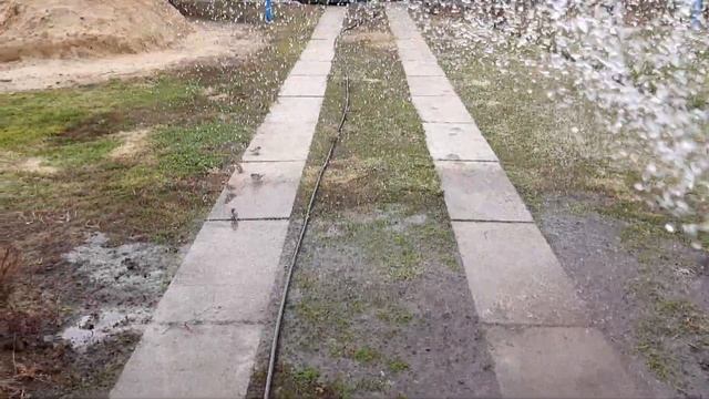 Купание воробьёв смотреть онлайн