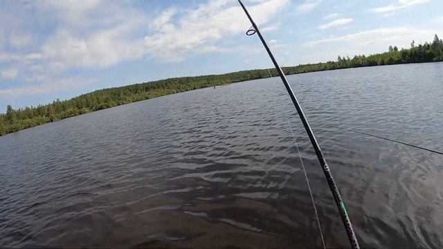 ДАЖЕ на ЭТОМ БОЛОТЕ НАШЛИ щуку и окуня! Рыбалка на спиннинг летом 2021 смотреть онлайн