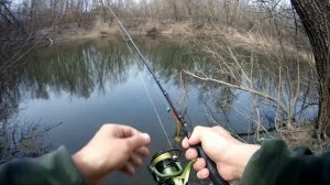 Самые популярные водоёмы ВОЛГО-АХТУБИНСКОЙ ПОЙМЫ.  Ерик Гнилой. //Рыбалка БЕЗРОМАРИО//