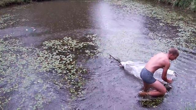 На эту ТАПТУХУ можно выловить ВСЮ РЫБУ! Рыбалка на своём пруду! смотреть онлайн