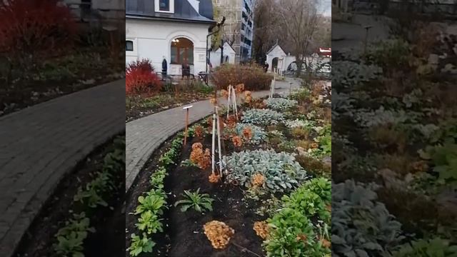 Субботник в Раевском саду. 23октября 2021г. смотреть онлайн