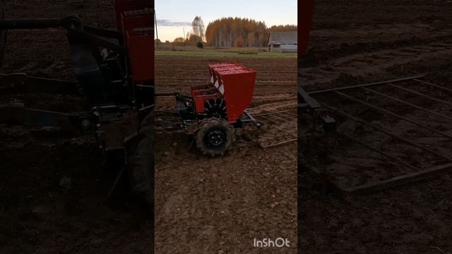 Посадили гектар чеснока за 4 часа ? смотреть онлайн