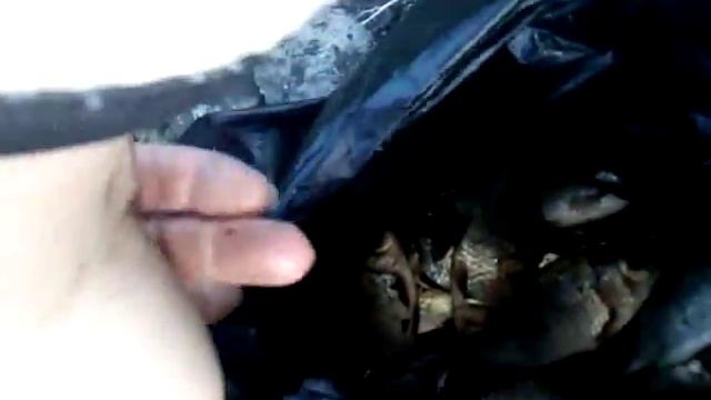 На рыбалке с сестрой. смотреть онлайн