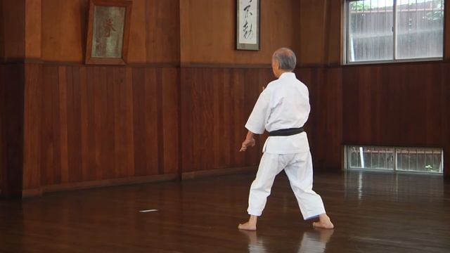 Hangetsu - KARATE KATA смотреть онлайн