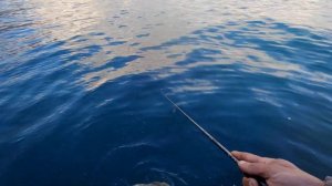 Ультралайт на чёрном море. Ловля на БУЛЛЕР.