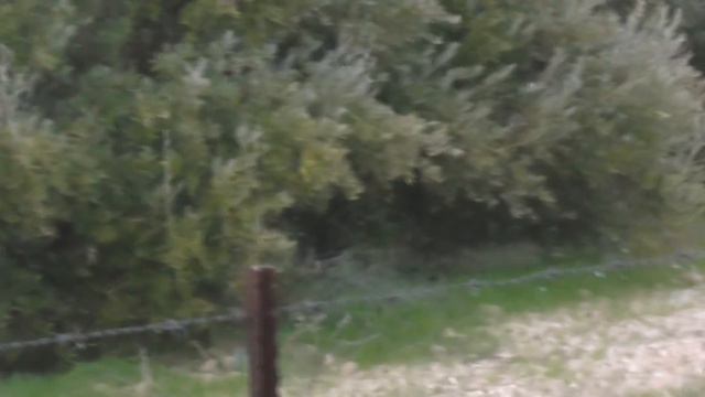 22.11.18.Я покажу вам неземную красоту природы! смотреть онлайн