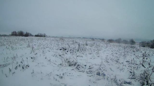 Охота на зайца 2021. два зайца по белой тропе смотреть онлайн