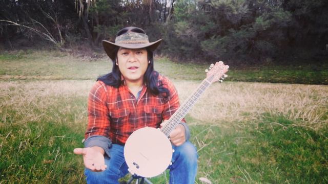 Octave Mandolin Banjo Custom Instrument 8 Strings смотреть онлайн