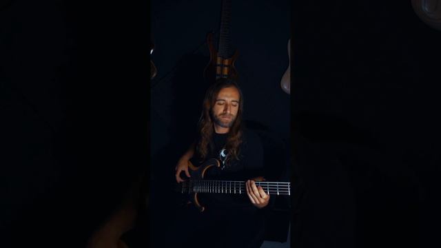 Beyond The Black - Heart Of The Hurricane (Bass Snippet) смотреть онлайн