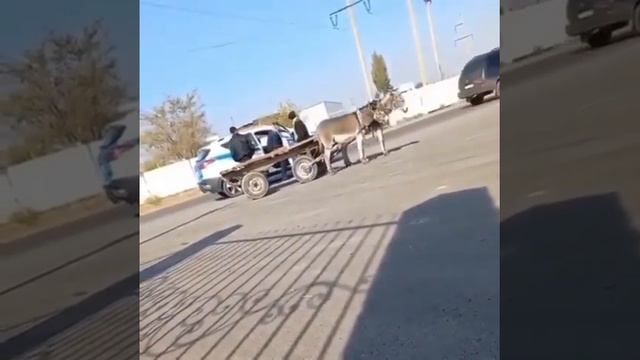Казахстан самая богатая страна 😭😥 смотреть онлайн