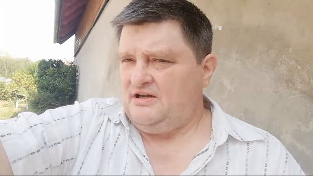 Немного Про Венгрию. Как нам живется в Кестхее