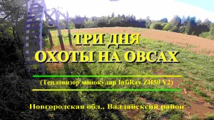 Охота на медведя. Три дня на овсах. Тепловизор.