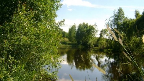 В горнице моей светло. Это от ночной звезды...