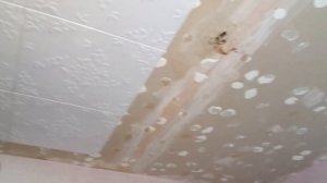 Как легко и быстро поклеить потолочную плитку