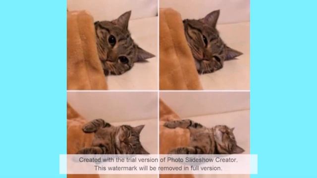 Прикольные картинки для поднятия настроения - подборка №3