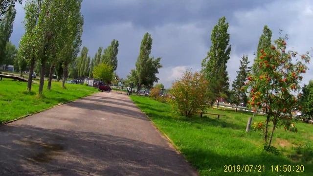 Маслята на выставке. Нижний Новгород 2019 07 21. смотреть онлайн