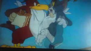 Обзор ”Сибирский медведь„