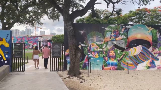 Wynwood Miami Guide : The Oasis, Wynwood Walls, Parking & More! смотреть онлайн