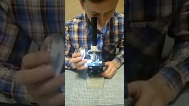 Отраженный проходящий свет микроскопа. смотреть онлайн