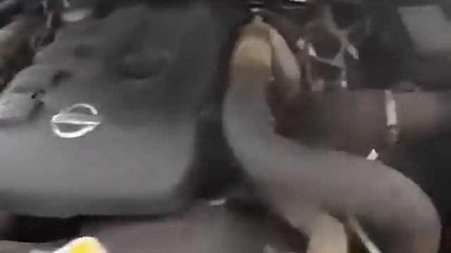 Двигатель на NISSAN NAVARA или PATHFINDER YD25-DDTI на 174 л.с., Контрактный из Англии