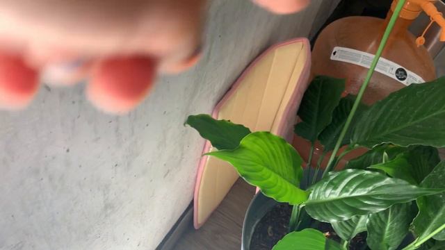 REACCION DE BEBÉ ZAÍD Y DIEGO AL VER A SU PAPÁ SIN BARBA | Cambios En La Cocina/ Ammy Alvarado