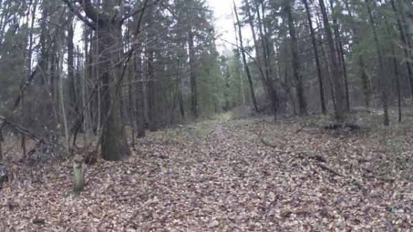 Маршрут Физтех: Долгопрудный - Мытищи Rutrail.org