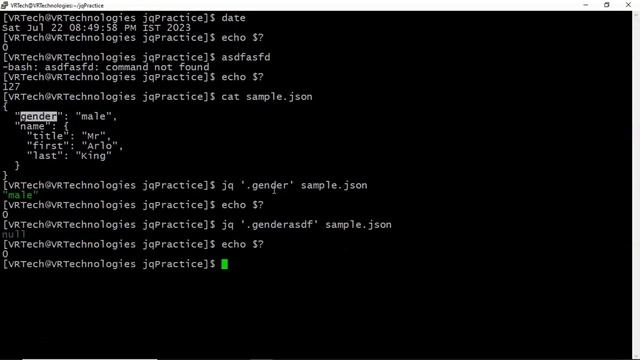 Section-7: Video-1: Jq Command with exit status | Parsing JSON Data with Jq Command | VRTechnologie смотреть онлайн