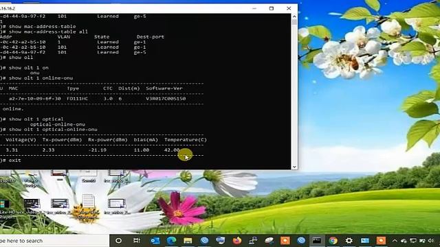 CDATA ADVANCED CLI Command Mode смотреть онлайн