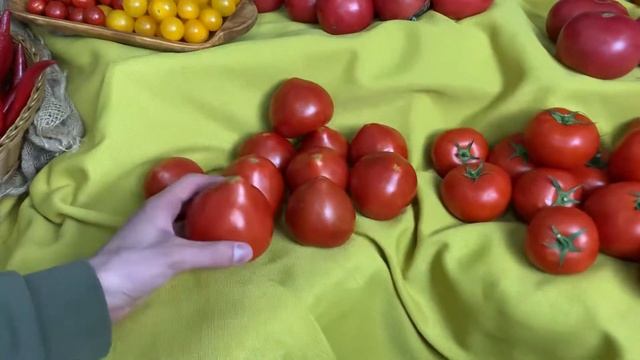 Томаты бакинские - 09.07. - fresh-concierge.ru смотреть онлайн