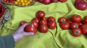 Томаты бакинские - 09.07. - fresh-concierge.ru