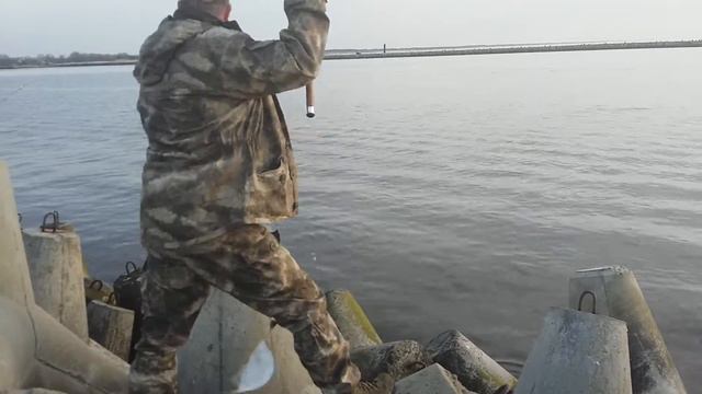 Камбала. Балтийск. смотреть онлайн