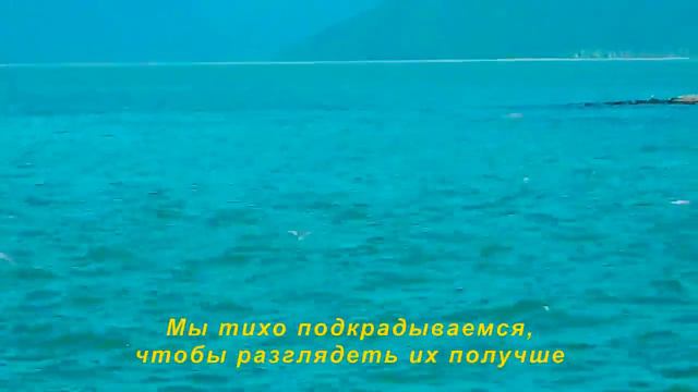 Морская прогулка смотреть онлайн
