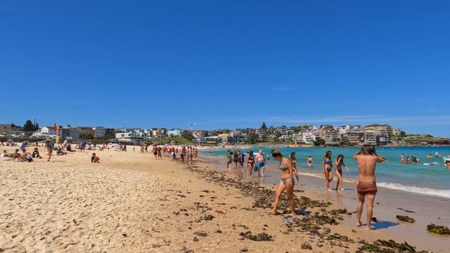 Ритмы Визуализации