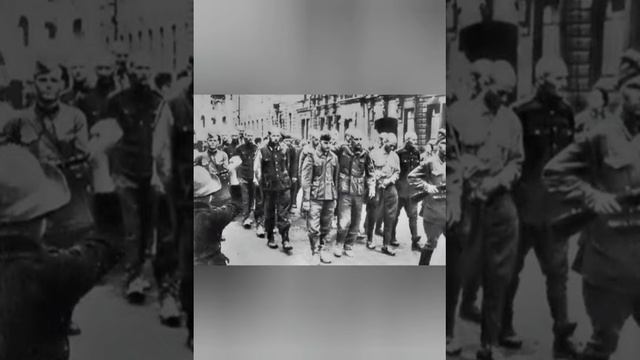 Час истории_ «Битва под Москвой», ко Дню воинск.mp4 смотреть онлайн